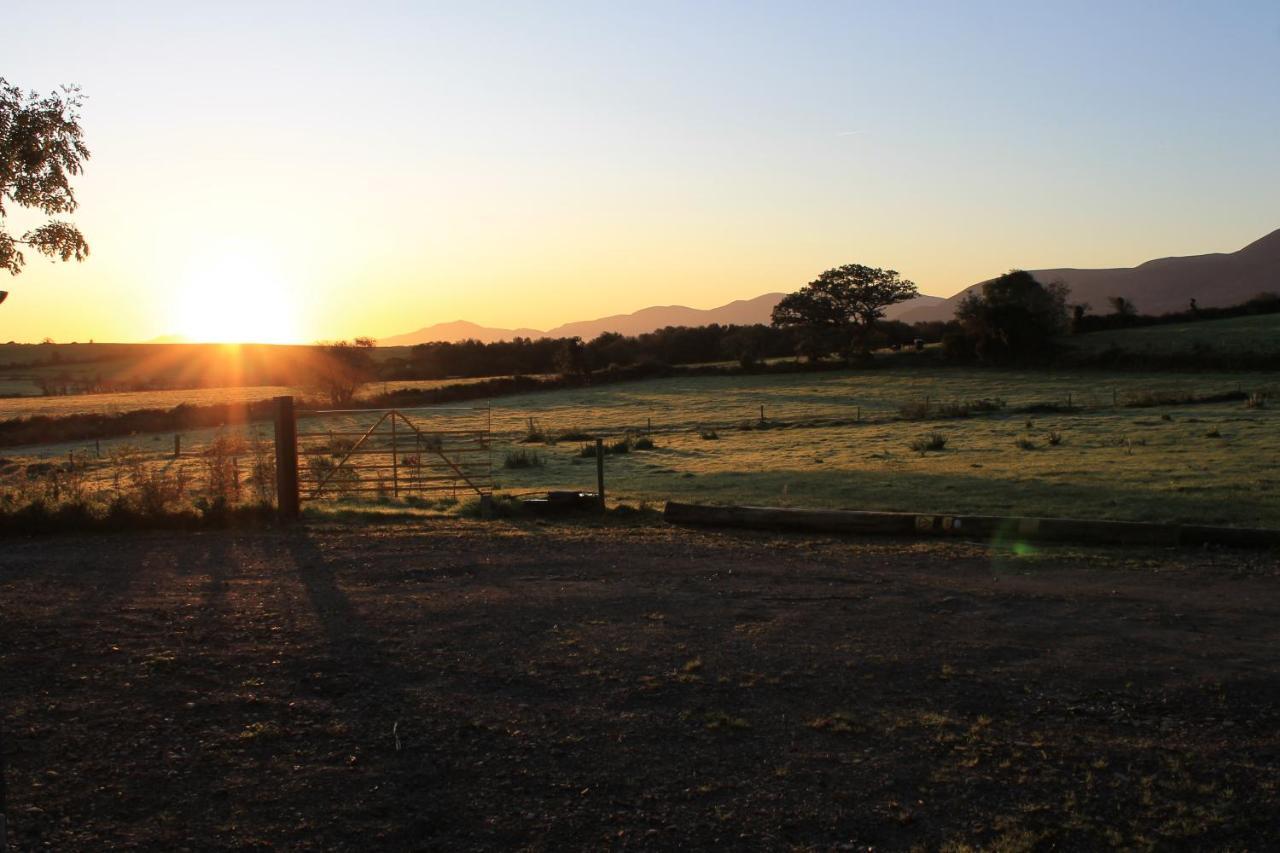 Farmyard Lane Glamping Luxuszelt Killarney